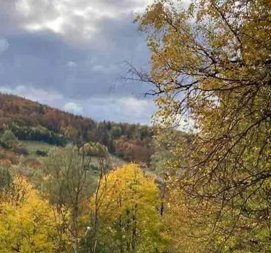 דירה Klimatyczny Lokal W Ustroniu